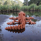 Skeleton Crocodile Silk Red Copper - Back