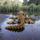Skeleton Crocodile Wood - Back