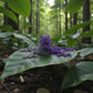 Skeleton Frog Silk Midnight Purple - Front