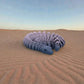 Skeleton Snake 2 Silk Rainbow - Front