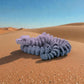 Skeleton Snake 2 Silk Rainbow - Side