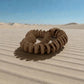 Skeleton Snake 2 Wood - Back