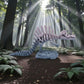 Skeleton Spinosaurus With Stand Silk Rainbow - Side