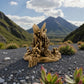 Skeleton Stegosaurus With Stand Wood - Back