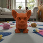 Sphynx Cat Silk Red Copper - Front